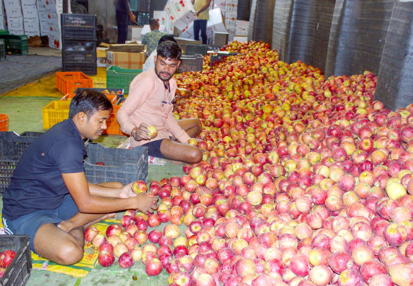 1.73 crore apple boxes transported from Himachal, says govt