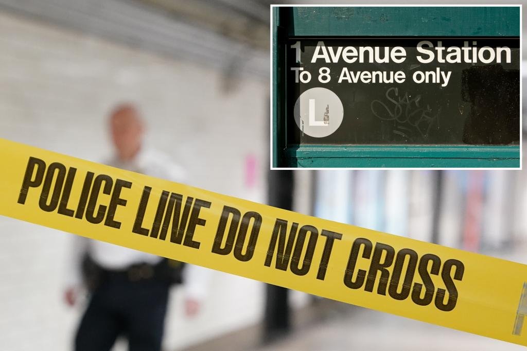 Anti-white attacker pummeled stranger who glanced at her in unprovoked NYC subway assault: cops, sources