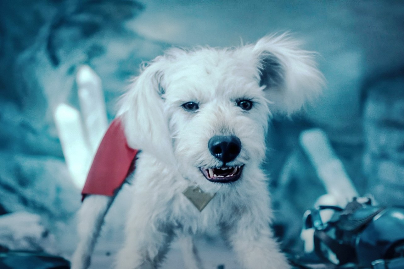 Superman 2025 Krypto