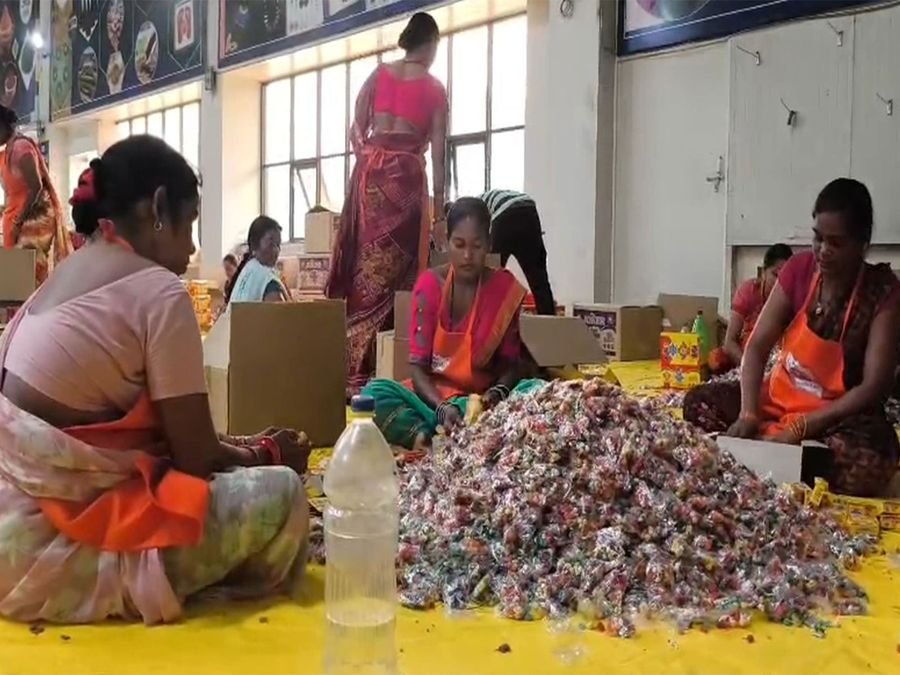 Chhattisgarh's green cracker initiative empowers about 200 women ahead of Diwali