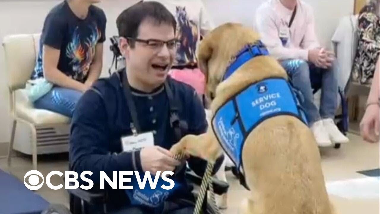 Disability advocate says Uber drivers frequently refuse to pick him and his service dog up (Video)