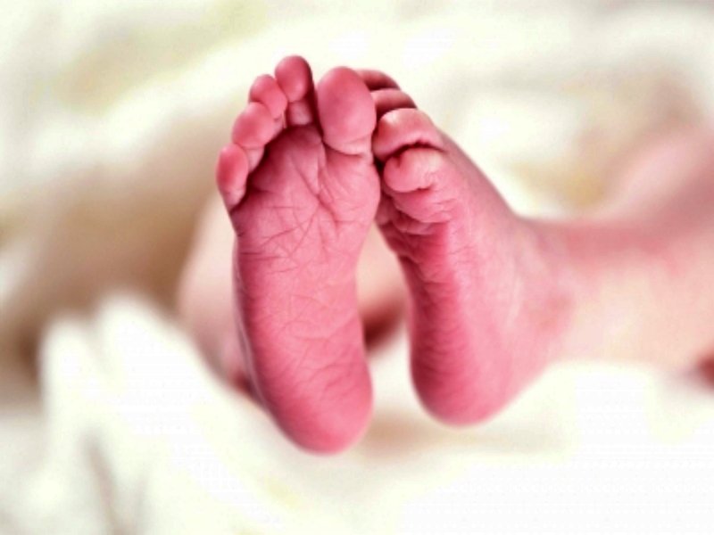 Gujarat records MMR of 51 per 1 lakh live births; ranks 5th among states: Official