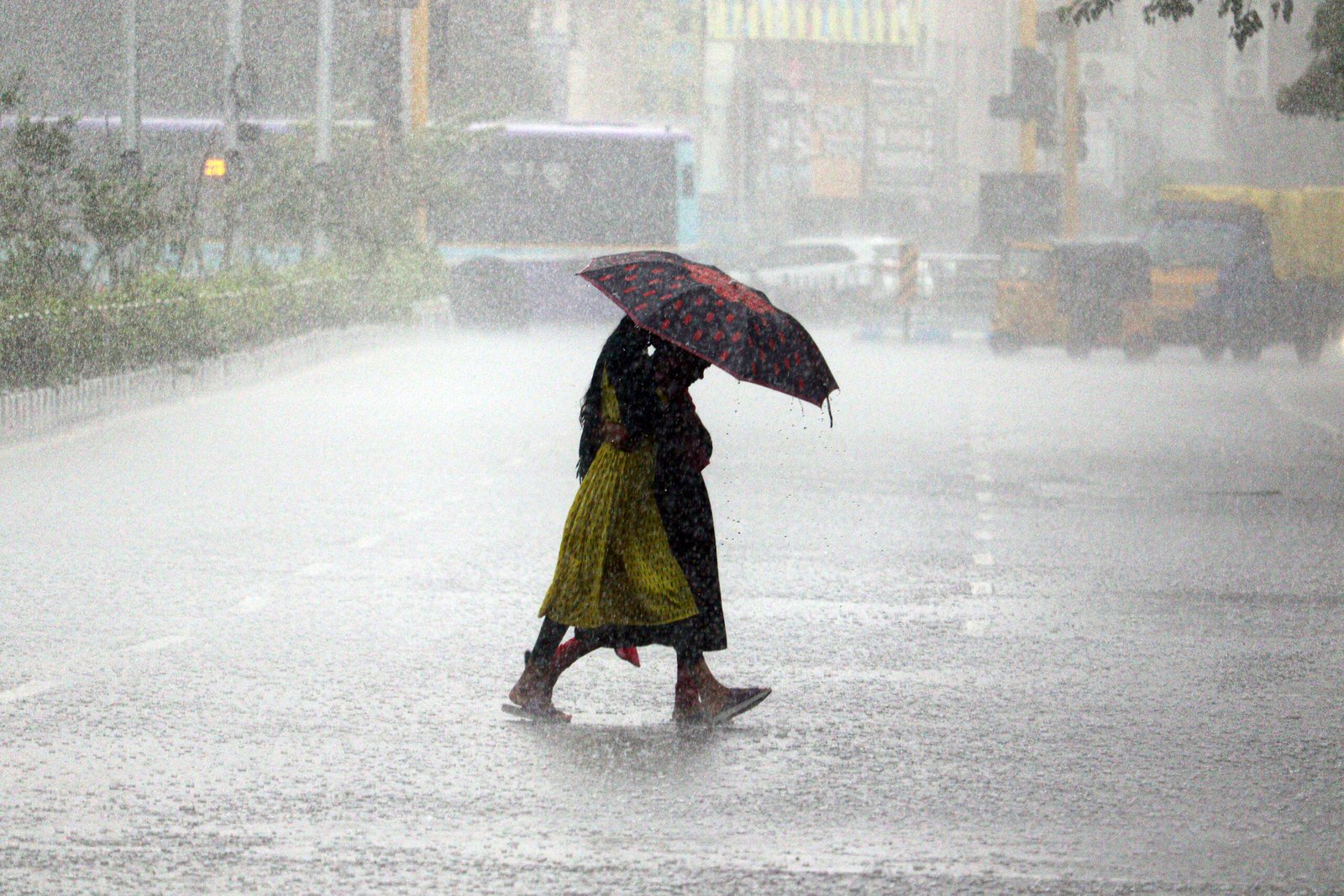 Heavy rain alert in several parts of MP as Monsoon trough re-activates