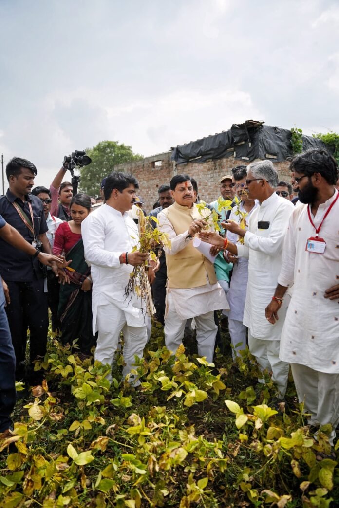 MP CM reviews crop damage and orders state-wide survey; Cong to protest in Ujjain tomorrow
