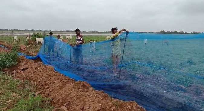 MP: Neemuch fishermen reap direct benefits of Pradhan Mantri Matsya Sampada Yojana