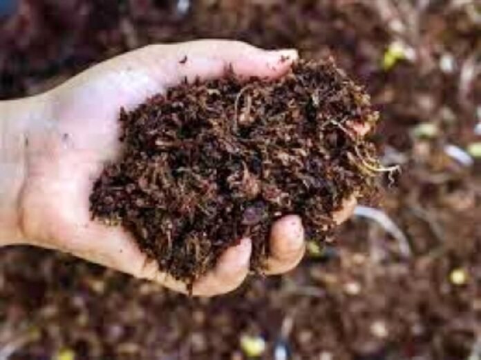 Opposition parties slam Odisha government over fertiliser crisis