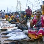 PM’s fisheries scheme catapults India as world’s 2nd largest fish producer