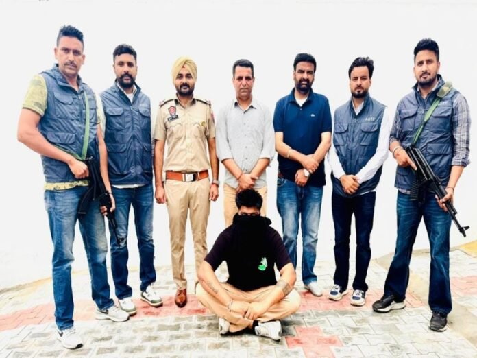 Punjab Police arrest associate of gangster Goldy Brar; five pistols seized