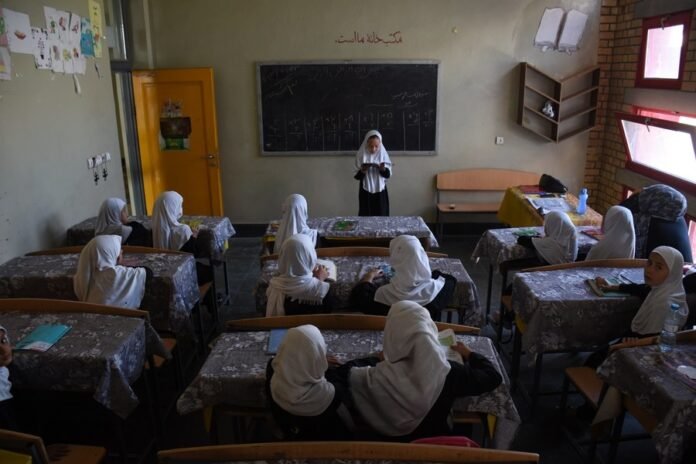 UN urges education access for Afghan girls, says restrictions threaten human rights 