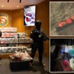 Dominican Republic says it seized 377 packages of cocaine on speedboat destroyed by US Navy