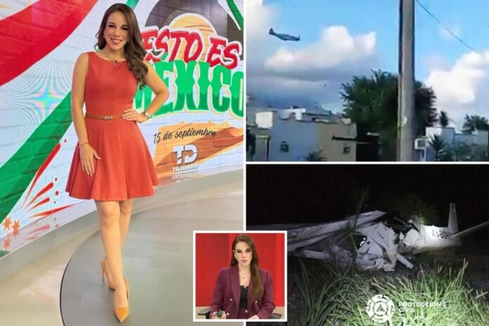 Video shows plane plummeting to ground, killing Mexican TV host taking a flying lesson