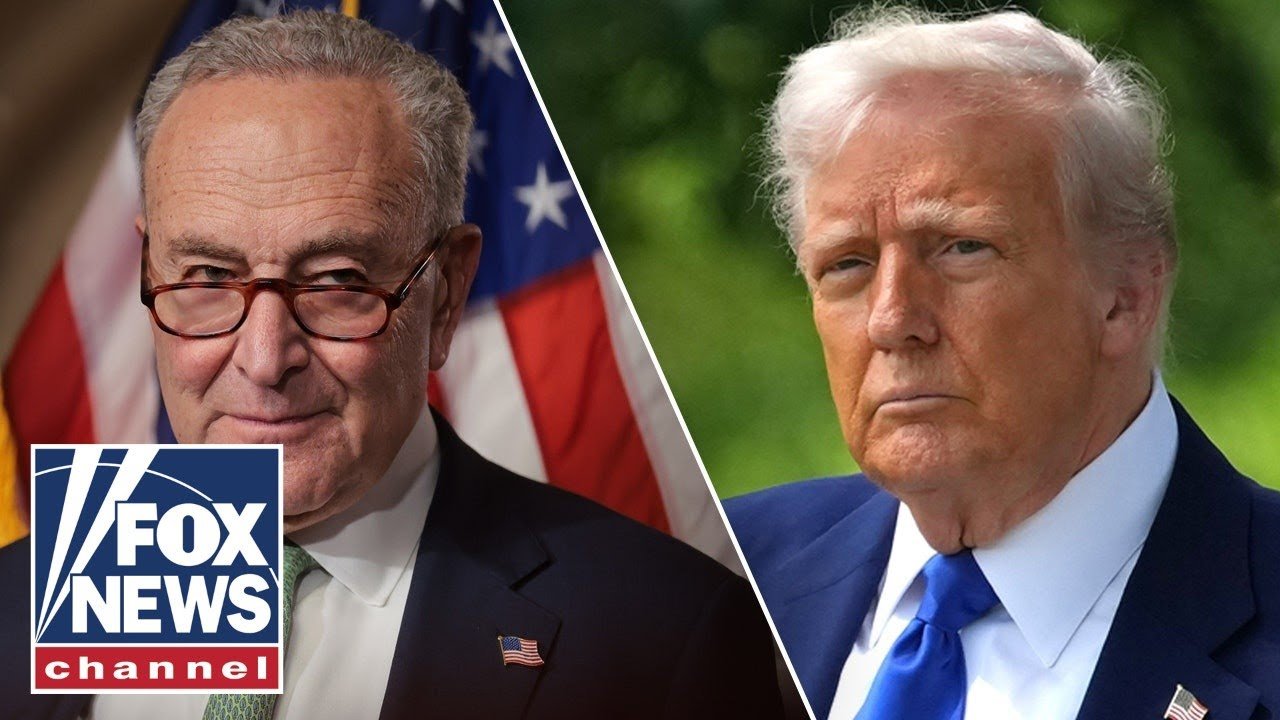 Chuck Schumer calls Trump 'a THREAT to democracy' (Video)