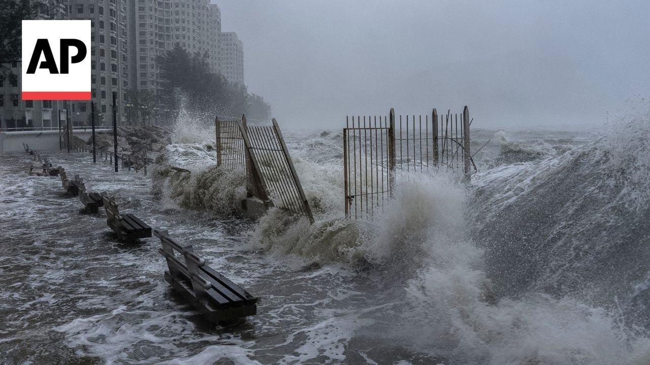 Typhoon Ragasa hits Hong Kong with massive waves and trees blown down (Video) 1 Typhoon Ragasa hits Hong Kong with massive waves and trees blown down (Video)