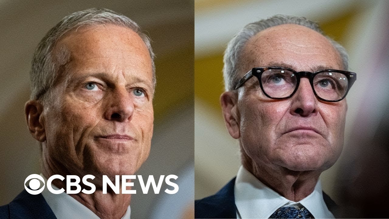 Funding bills from both parties fail, government shutdown imminent (Video)