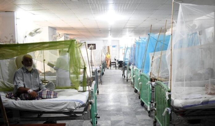 Pakistan: 32 new dengue cases reported in Rawalpindi and Islamabad 