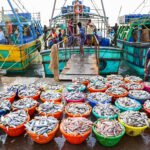 Govt to hold investors' meet in Lakshadweep to boost exports of tuna, seaweed