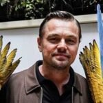 Leonardo DiCaprio shared why he thinks box-office is important