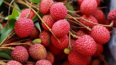 From Makhana to Shahi Litchi, GST rejig to boost Bihar’s economy, ramp up exports
