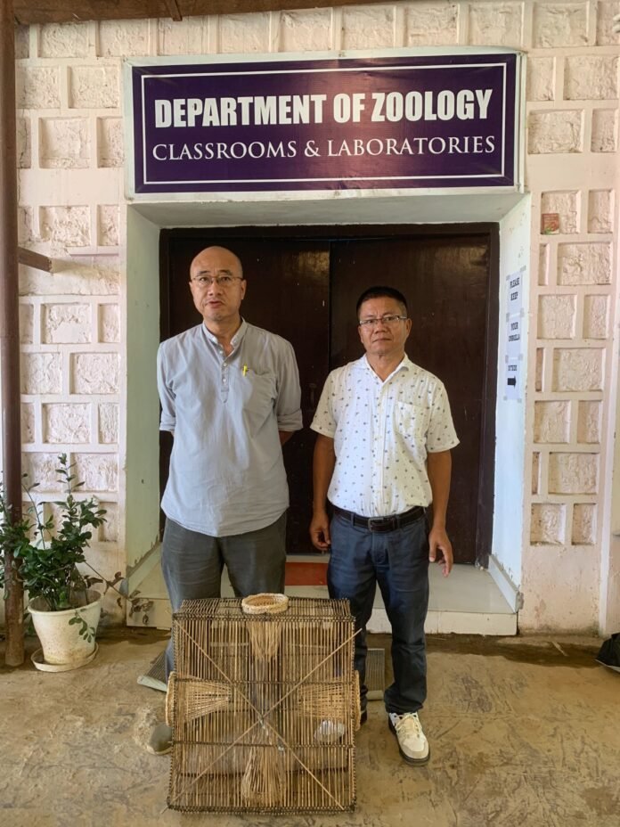 Nagaland varsity develops cost-effective, eco-friendly fishing trap for sustainable hill-stream Nagaland varsity develops cost-effective, eco-friendly fishing trap for sustainable hill-stream fishing