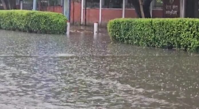 Showers of relief: Heavy rain cools NCR, brings respite from humid weather
