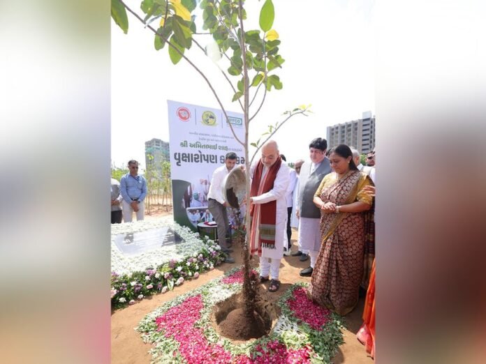 Amit Shah participates in tree plantation drive in Gandhinagar under ‘Ek Ped Maa Ke Naam’ campaign