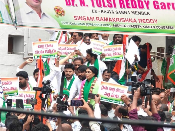 APCC chief YS Sharmila holds protest in Vijayawada demanding fulfilment of farmers' rights