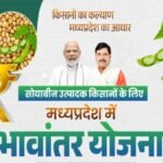 Madhya Pradesh: Bhavantar Scheme registration for soybean begins from October 3