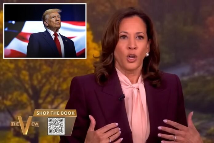 Kamala Harris claims she ‘didn’t have enough time’ to beat Trump in 2024 election