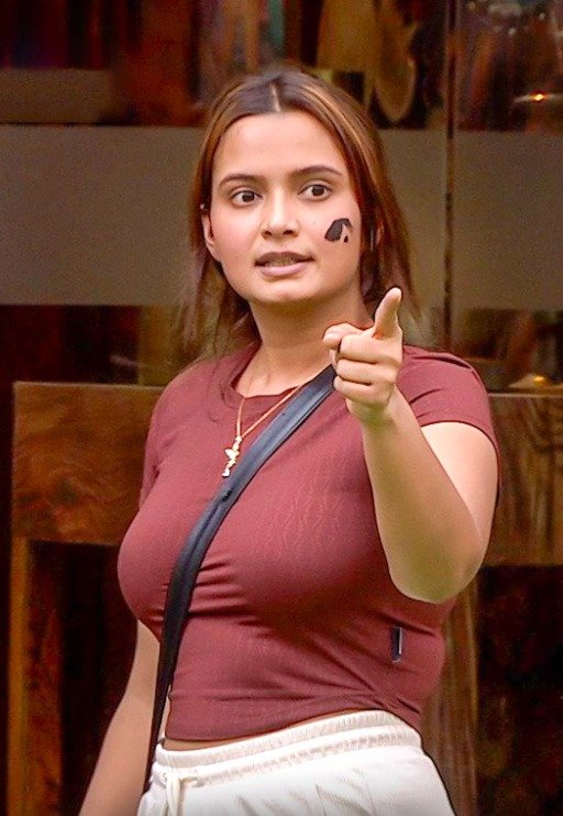 ‘Bigg Boss 19’: Awez Darbar tells Neelam Giri ‘anda, chai bana’ during fight