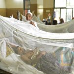 B'desh reports 9 more fatalities due to dengue; death toll in 2025 rises to 212