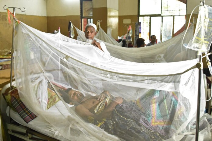 B'desh reports 9 more fatalities due to dengue; death toll in 2025 rises to 212
