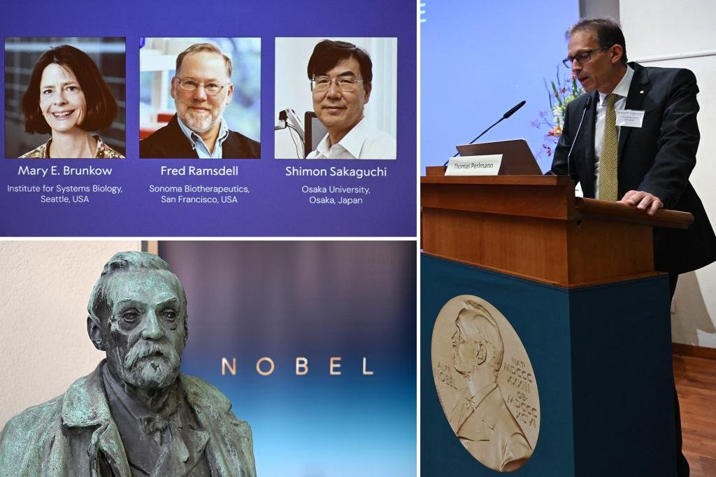 Three scientists — 2 Americans, 1 Japanese — take home Nobel Prize in medicine for work on human immune system