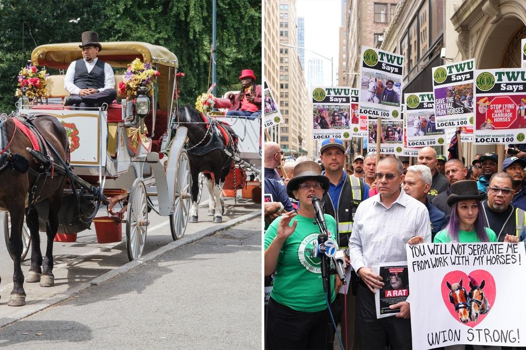 Central Park visitors support horse carriage rides, oppose NYC’s ban: poll
