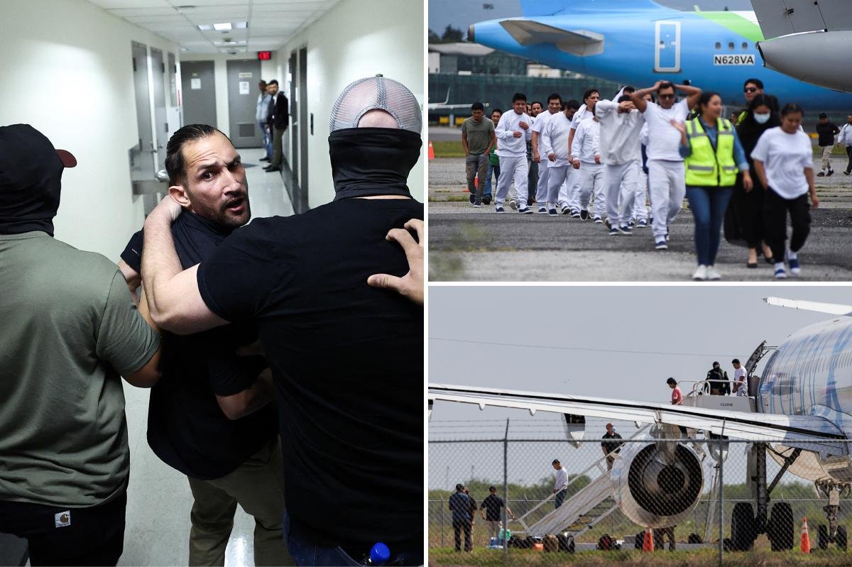 Trump admin on pace to shatter deportation record by end of first year: ‘Just the beginning’