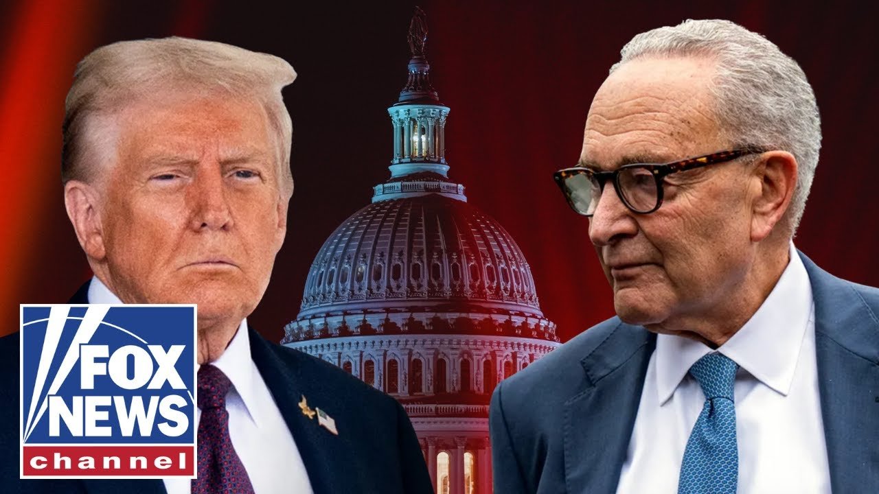 BREAKING: Government shutdown begins (Video)