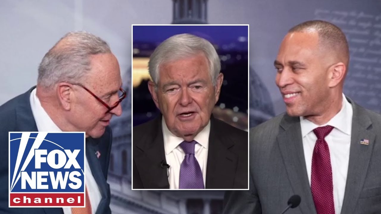 'THIS IS INSANITY': Newt Gingrich ridicules Dems' handling of shutdown on Capitol Hill (Video)