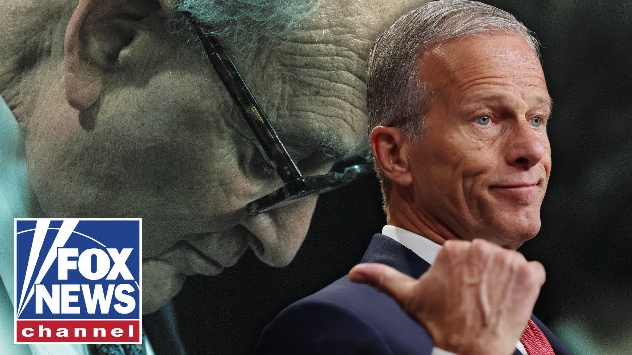 'THEY'RE STUCK': Dems 'really don't know' what they're doing, Senate Majority leader says (Video)