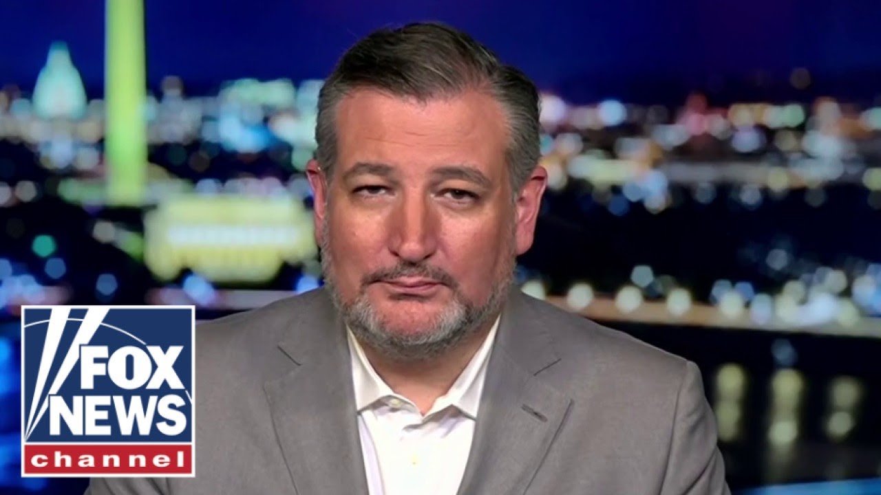 Ted Cruz: The Dem Party has gone ‘bat-crap crazy’ (Video)