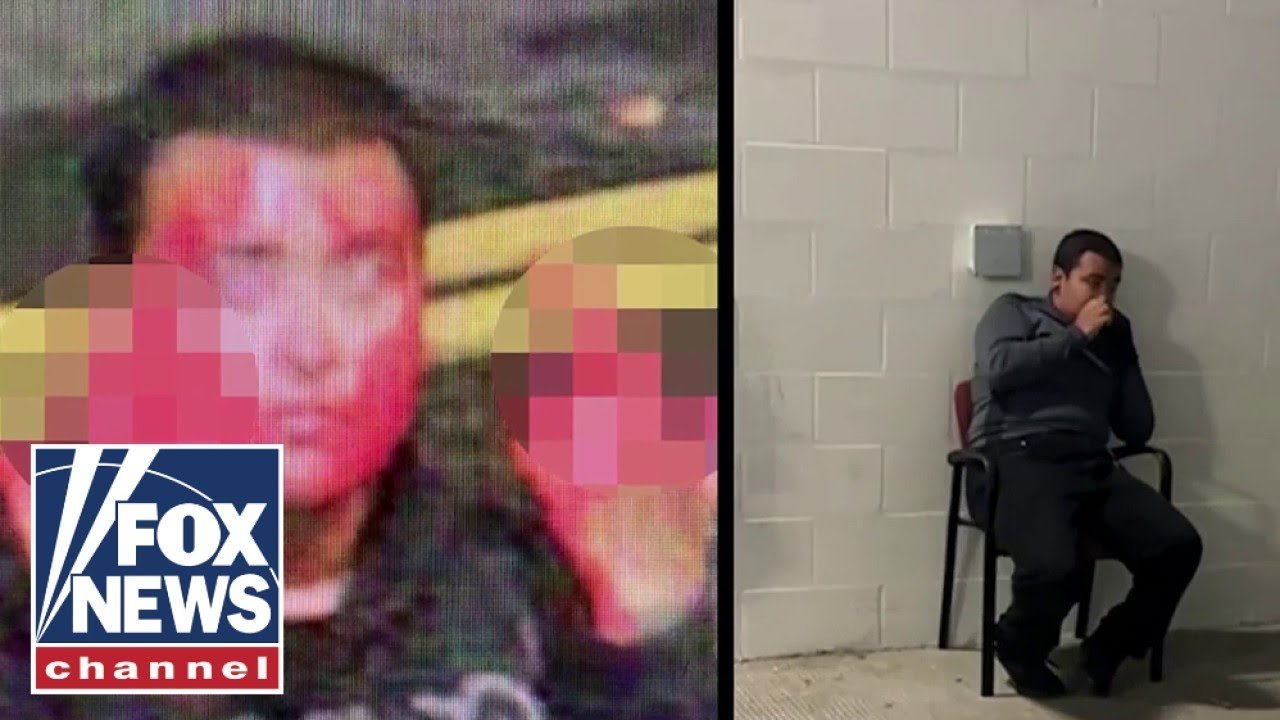 Man arrested for dumping paint on ICE facility seen visibly shaken (Video)