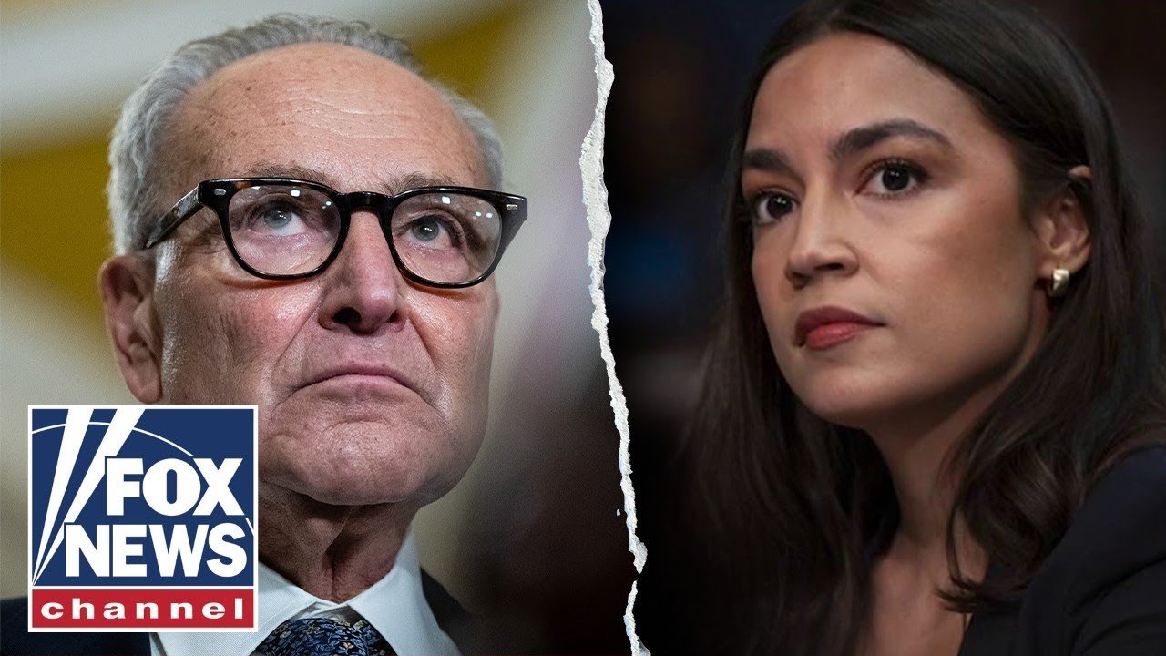 Dems lack a 'sense of emergency' surrounding government shutdown (Video)