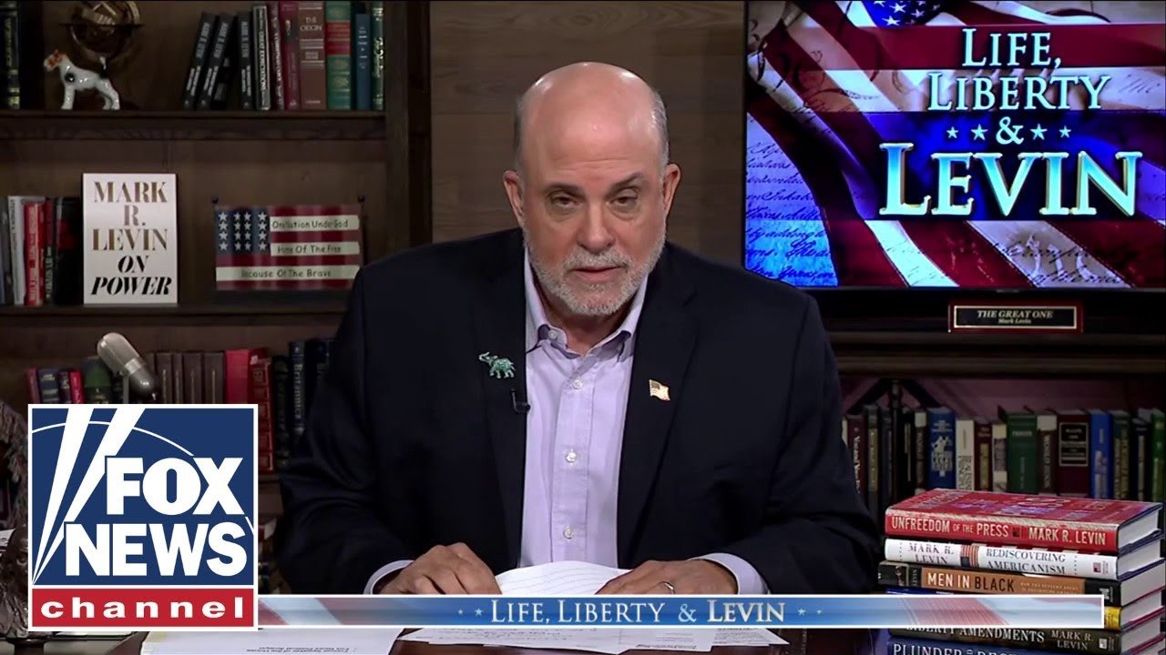 Levin: Dems are in a 'CONSTANT state of SABOTAGE' (Video)