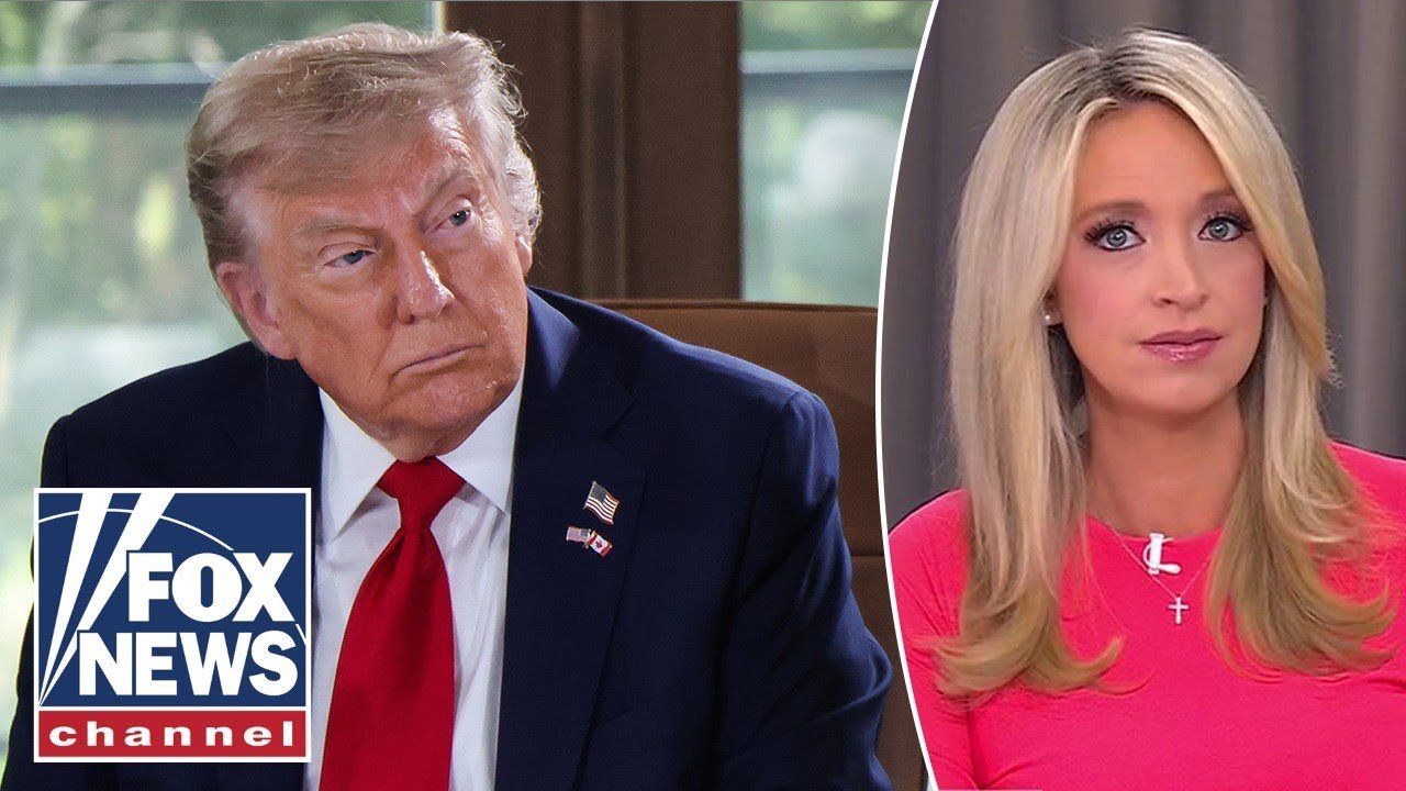 Watch Video McEnany: This could turn into DOGE 2.0