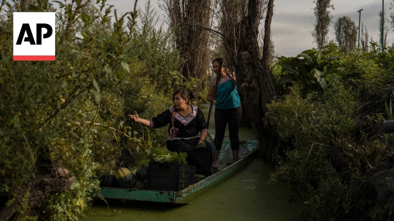 Watch Video In Mexico, women didn't traditionally inherit island farms. Now some are determined to protect them