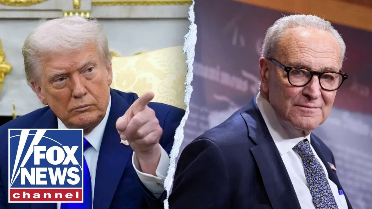 Watch Video Chuck Schumer just wrote this for Republicans: Lisa Boothe