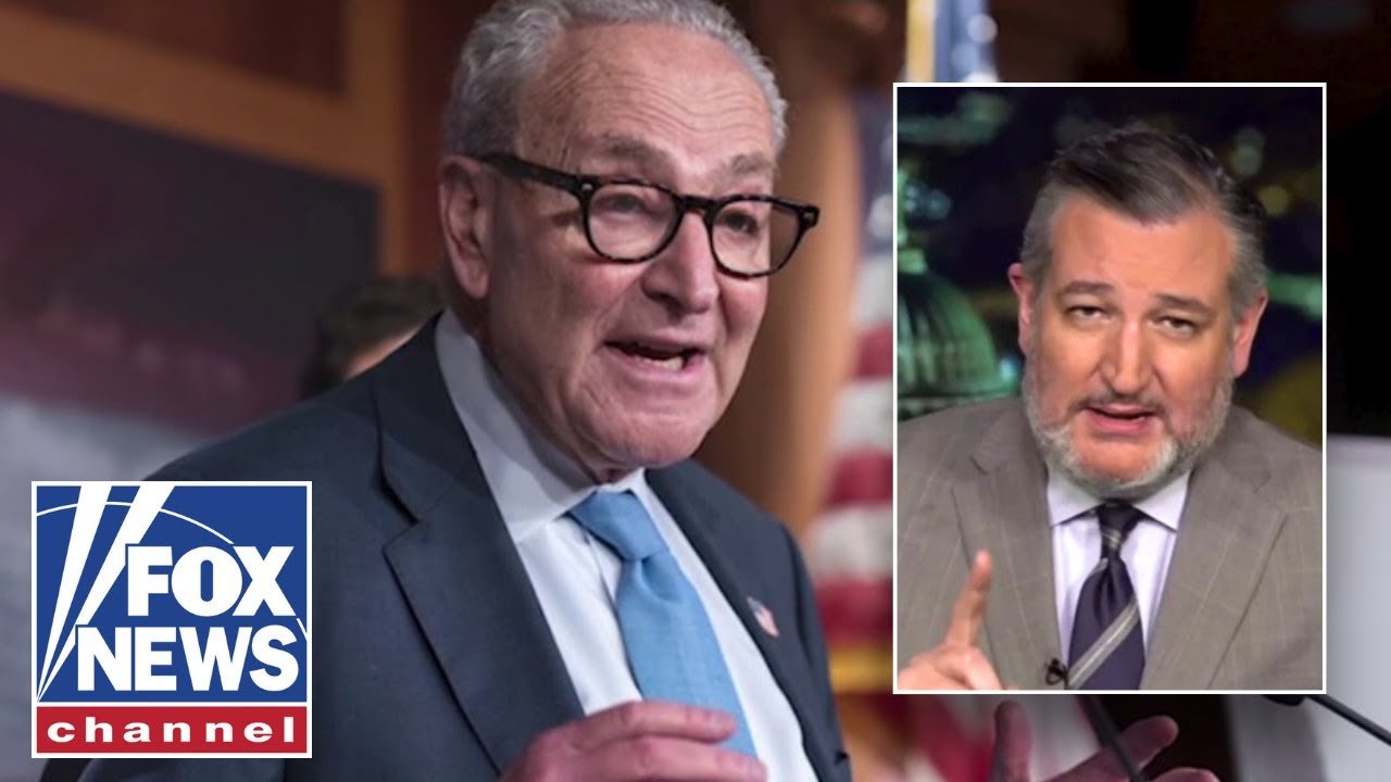 'POLITICAL CRISIS': Ted Cruz addresses TWO things driving the government shutdown (Video)