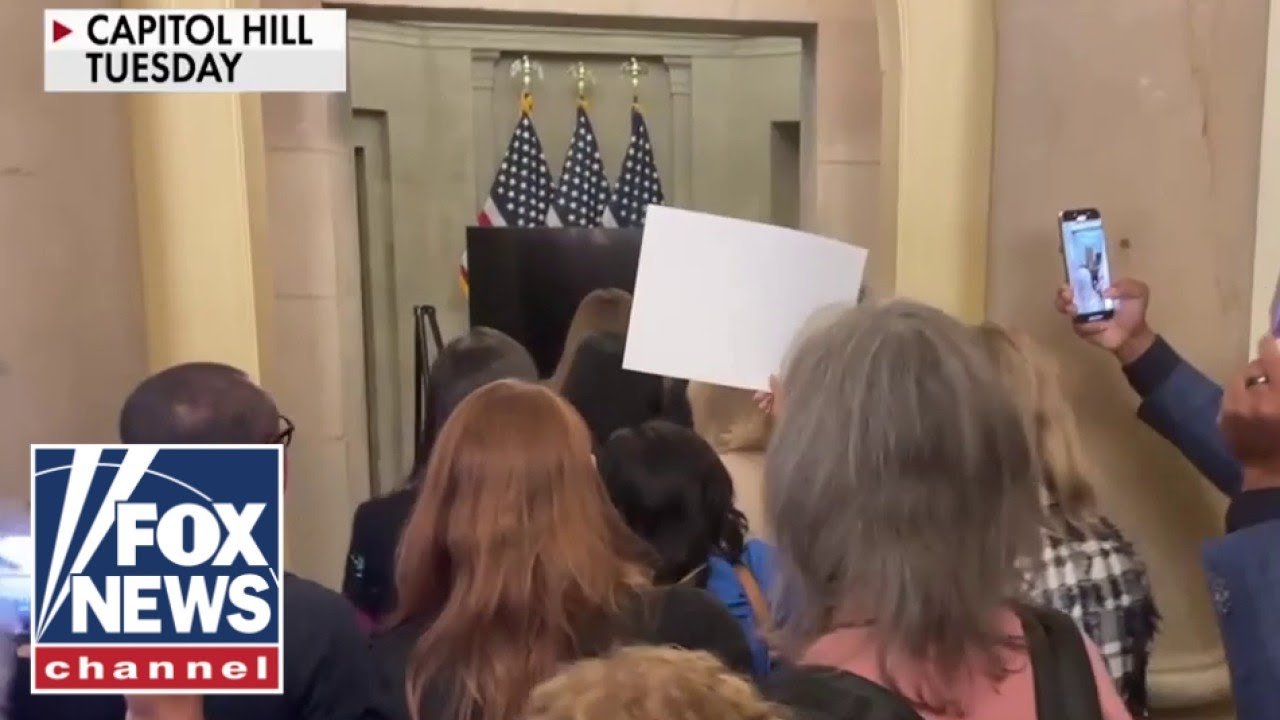 Dems STORM Speaker Johnson's office as shutdown drags on (Video)