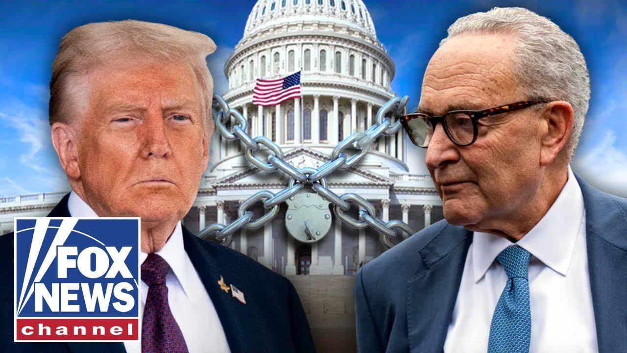 'HOLDING US HOSTAGE!': Trump sends MAJOR message to Schumer and Senate Dems during shutdown (Video)