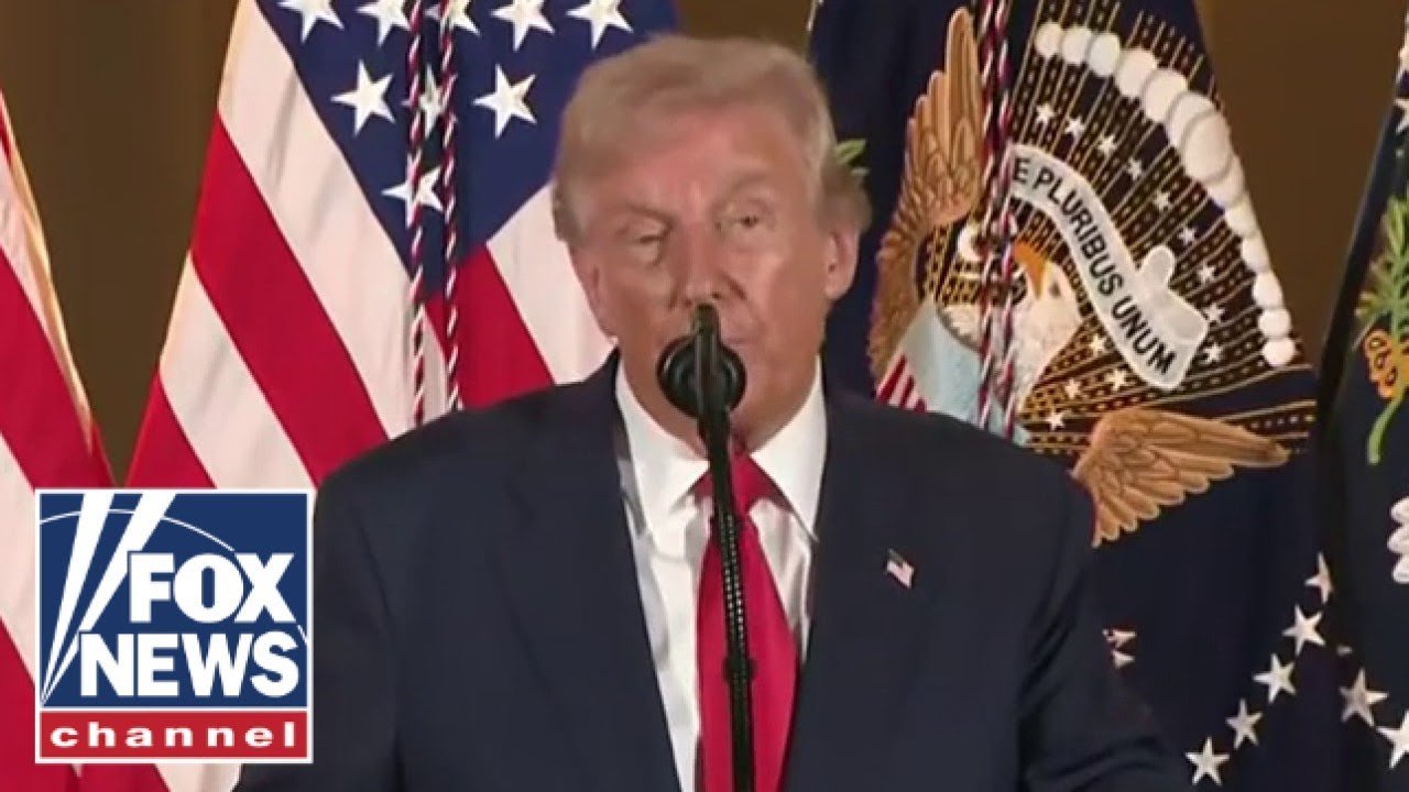 Trump participates in reception with business leaders in Tokyo (Video)