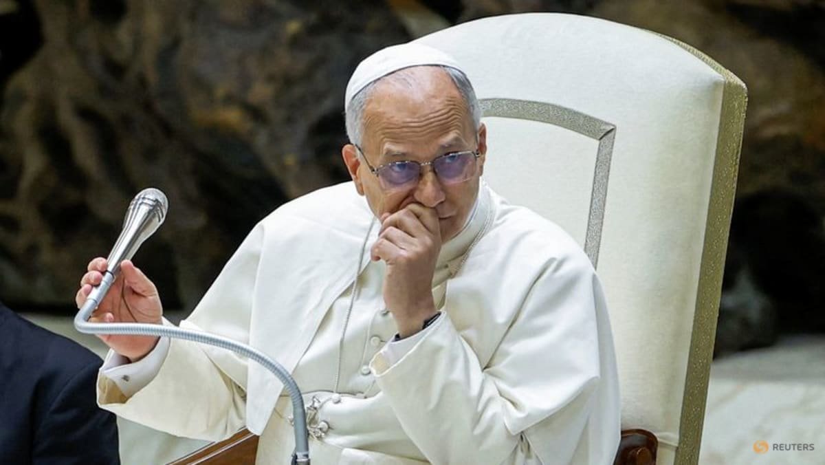 Pope Leo meets survivors of clergy abuse, pledges to listen and act