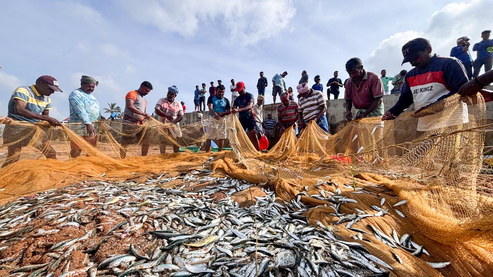 India world’s second-largest fish producer, contributing 8 pc to global output